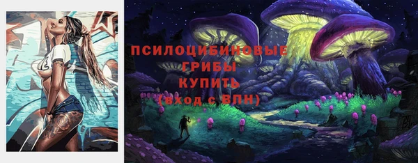 гашик Наволоки